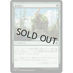 画像1: 【JPN】高潮渡り/High Stride [MTG_BLB_0176_C]