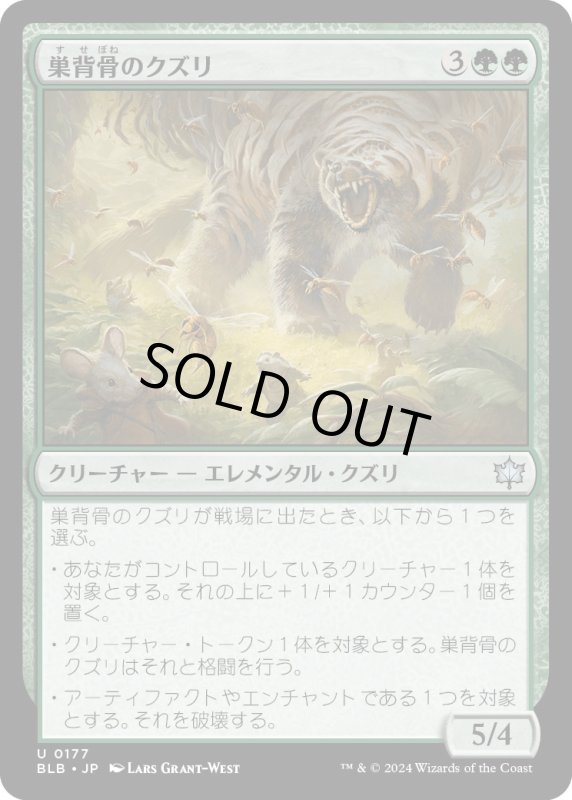 画像1: 【JPN】巣背骨のクズリ/Hivespine Wolverine [MTG_BLB_0177_U] (1)