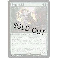 画像1: 【JPN】鋭い目の管理者/Keen-Eyed Curator [MTG_BLB_0181_R]