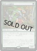 【JPN】脚当ての補充兵/Pawpatch Recruit [MTG_BLB_0187_R]