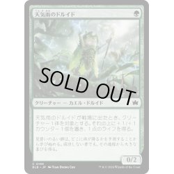 画像1: 【JPN】天気雨のドルイド/Sunshower Druid [MTG_BLB_0195_C]