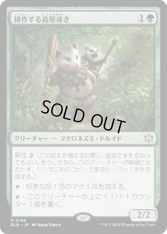 画像1: 【JPN】耕作する高原導き/Tender Wildguide [MTG_BLB_0196_R] (1)