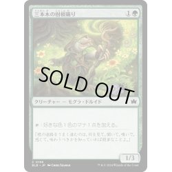 画像1: 【JPN】三本木の樹根織り/Three Tree Rootweaver [MTG_BLB_0198_C]