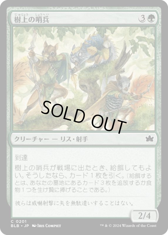 画像1: 【JPN】樹上の哨兵/Treetop Sentries [MTG_BLB_0201_C] (1)