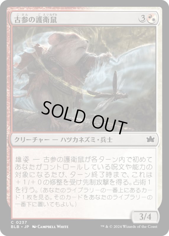 画像1: 【JPN】古参の護衛鼠/Veteran Guardmouse [MTG_BLB_0237_C] (1)