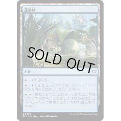 画像1: 【JPN】蓮葉村/Lilypad Village [MTG_BLB_0255_U]