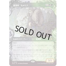 画像1: 【JPN】■ショーケース■種選奴、カメリア/Camellia, the Seedmiser [MTG_BLB_0328_R]