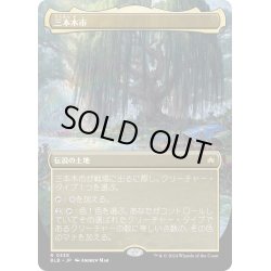 画像1: 【JPN】■ボーダーレス■三本木市/Three Tree City[MTG_BLB_0338_R]