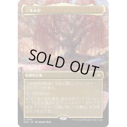 画像1: 【JPN】■ボーダーレス■三本木市/Three Tree City[MTG_BLB_0339_R]