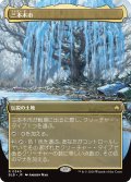 【JPN】■ボーダーレス■三本木市/Three Tree City[MTG_BLB_0340_R]