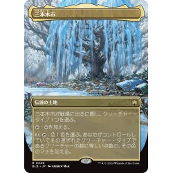 画像1: 【JPN】■ボーダーレス■三本木市/Three Tree City[MTG_BLB_0340_R]