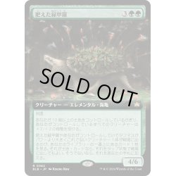 画像1: 【JPN】■拡張アート■肥えた緑甲羅/Fecund Greenshell [MTG_BLB_0362_R]