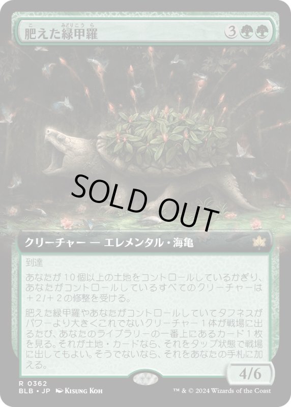 画像1: 【JPN】■拡張アート■肥えた緑甲羅/Fecund Greenshell [MTG_BLB_0362_R] (1)