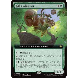 画像1: 【JPN】■拡張アート■茨越えの餌あさり/Thornvault Forager [MTG_BLB_0364_R]