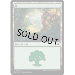 画像1: 【JPN】森/Forest[MTG_BLB_0377_L]