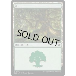 画像1: 【JPN】森/Forest[MTG_BLB_0378_L]