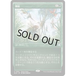 画像1: 【JPN】削弱/Wear Down [MTG_BLB_0384_P]