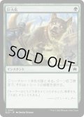 【JPN】巨大化/Giant Growth [MTG_BLB_0393_C]