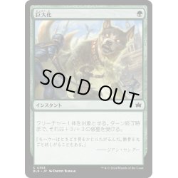 画像1: 【JPN】巨大化/Giant Growth [MTG_BLB_0393_C]