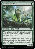 【ENG】天気雨のドルイド/Sunshower Druid [MTG_BLB_0195_C]