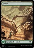 【ENG】森/Forest[MTG_BLB_0279_L]