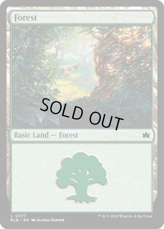 画像1: 【ENG】森/Forest[MTG_BLB_0377_L] (1)