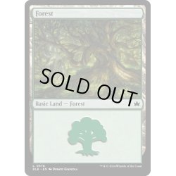 画像1: 【ENG】森/Forest[MTG_BLB_0378_L]