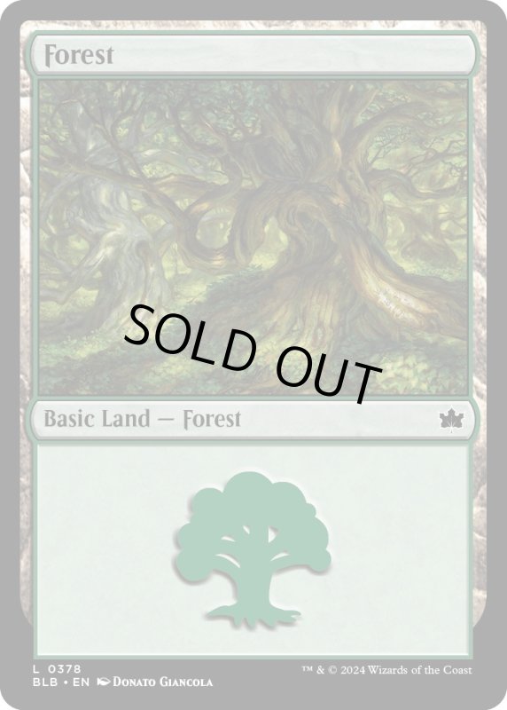 画像1: 【ENG】森/Forest[MTG_BLB_0378_L] (1)