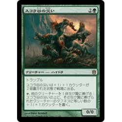 画像1: 【JPN】スコラ谷の災い/Scourge of Skola Vale[MTG_BNG_137R]