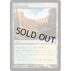 画像1: 【JPN】豊潤の神殿/Temple of Plenty[MTG_BNG_165R]