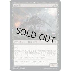 画像1: 【JPN】屍肉蝗/Carrion Locust[MTG_BRO_087C]