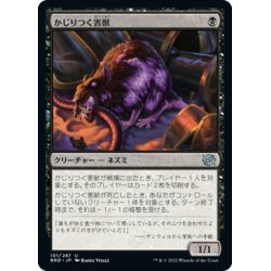 画像1: 【JPN】かじりつく害獣/Gnawing Vermin[MTG_BRO_101U]