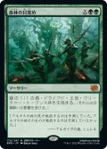 【JPN】森林の目覚め/Awaken the Woods[MTG_BRO_170M]