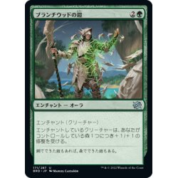 画像1: 【JPN】ブランチウッドの鎧/Blanchwood Armor[MTG_BRO_171U]