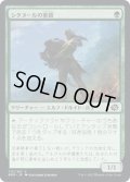 【JPN】シタヌールの重鎮/Citanul Stalwart[MTG_BRO_175C]