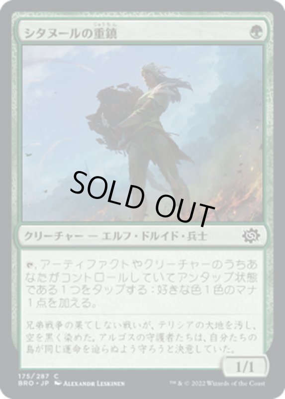 画像1: 【JPN】シタヌールの重鎮/Citanul Stalwart[MTG_BRO_175C] (1)