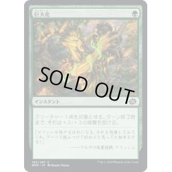 画像1: 【JPN】巨大化/Giant Growth[MTG_BRO_183C]