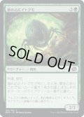 【JPN】溜め込むイトグモ/Hoarding Recluse[MTG_BRO_186C]