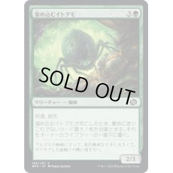 画像1: 【JPN】溜め込むイトグモ/Hoarding Recluse[MTG_BRO_186C]