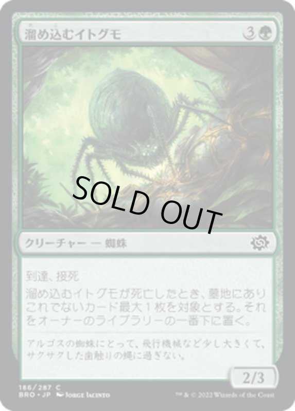 画像1: 【JPN】溜め込むイトグモ/Hoarding Recluse[MTG_BRO_186C] (1)