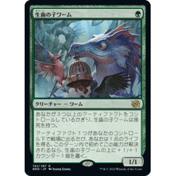 画像1: 【JPN】生歯の子ワーム/Teething Wurmlet[MTG_BRO_192R]