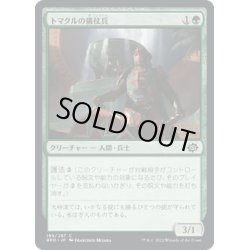 画像1: 【JPN】トマクルの儀仗兵/Tomakul Honor Guard[MTG_BRO_195C]