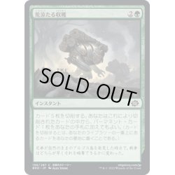 画像1: 【JPN】荒涼たる収穫/Wasteful Harvest[MTG_BRO_196C]