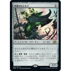 画像1: 【JPN】常緑のビヒモス/Perennial Behemoth[MTG_BRO_202R]