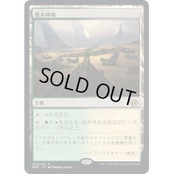 画像1: 【JPN】低木林地/Brushland[MTG_BRO_259R]