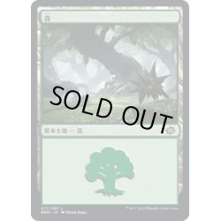 画像1: 【JPN】森/Forest[MTG_BRO_277L]