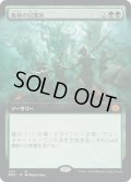 【JPN】森林の目覚め/Awaken the Woods[MTG_BRO_344M]