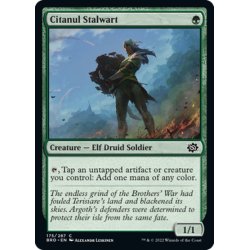 画像1: 【ENG】シタヌールの重鎮/Citanul Stalwart[MTG_BRO_175C]