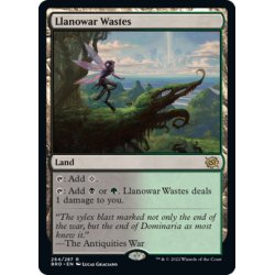 画像1: 【ENG】ラノワールの荒原/Llanowar Wastes[MTG_BRO_264R]