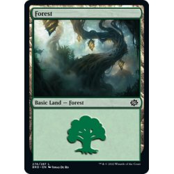 画像1: 【ENG】森/Forest[MTG_BRO_276L]